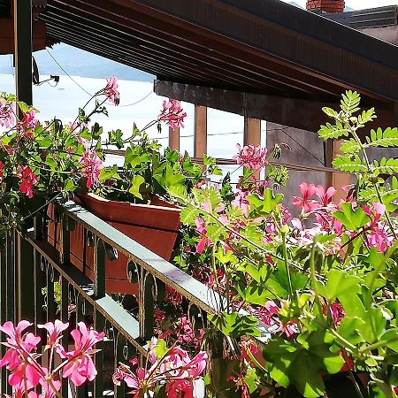 Campino Bed & Breakfast Stresa Exterior photo